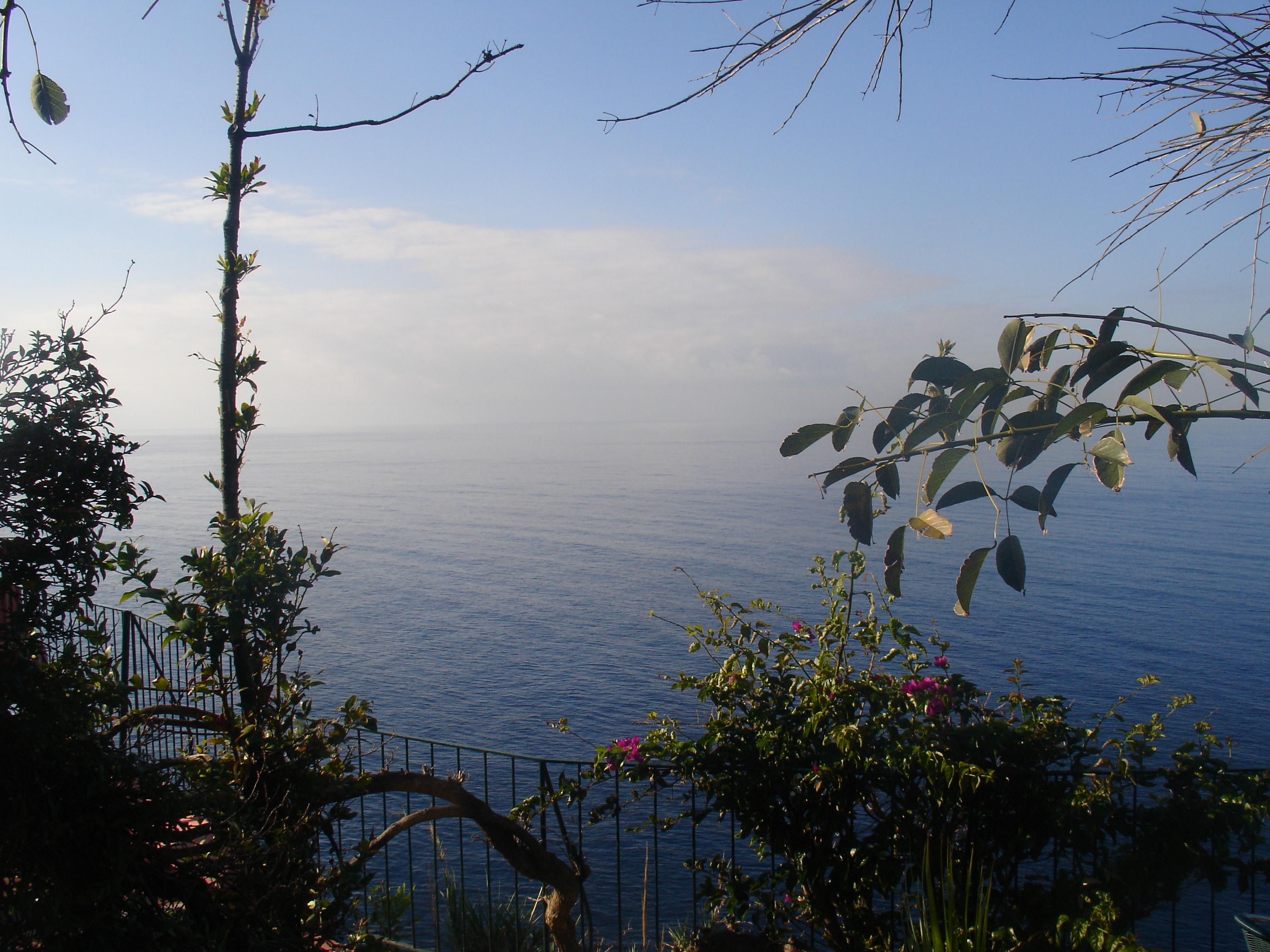 Inn & Art Madeira Канісу Екстер'єр фото