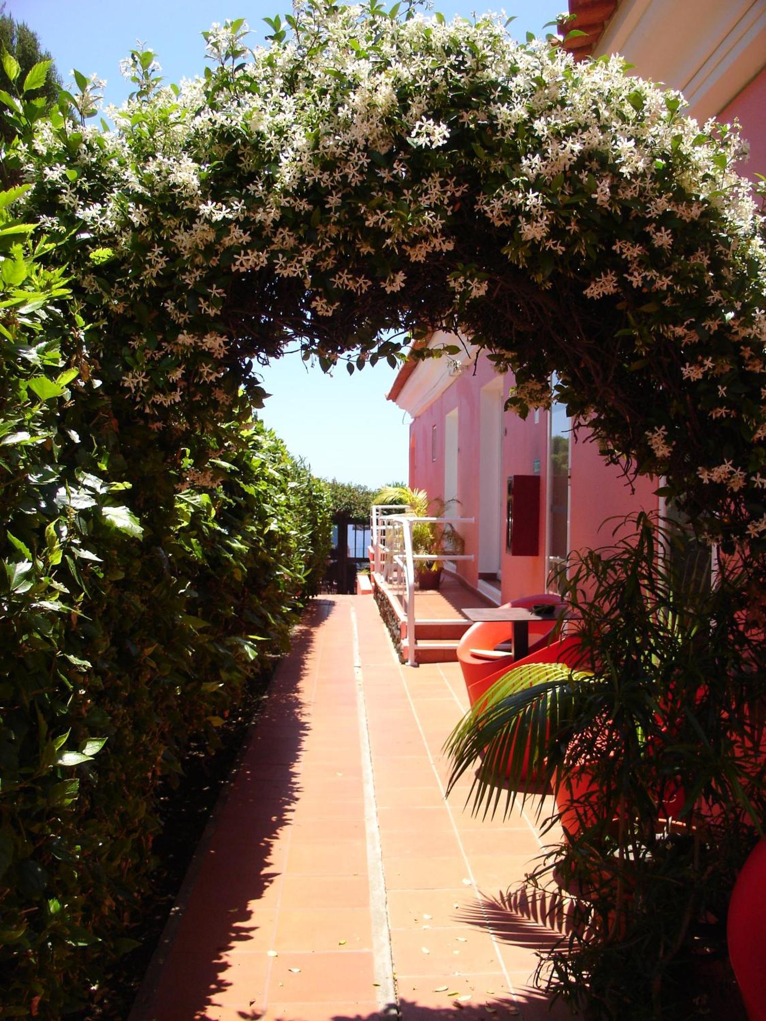 Inn & Art Madeira Канісу Екстер'єр фото